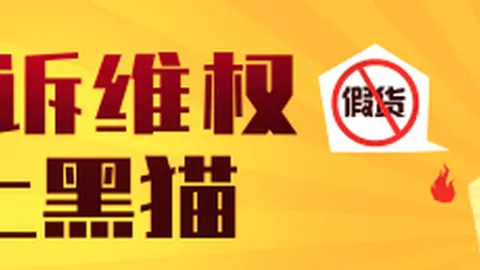 暴风岗下卷全解读：艾米莉勃朗特经典名著终章